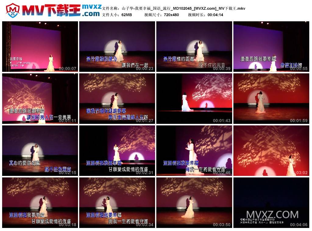 山子华-我要幸福_国语_流行_MD102045